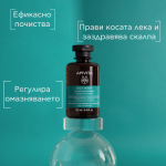 Apivita шампоан за мазна коса 250 мл