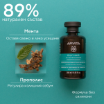 Apivita шампоан за мазна коса 250 мл