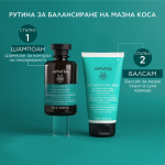 Apivita шампоан за мазна коса 250 мл
