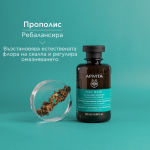 Apivita шампоан за мазна коса 250 мл