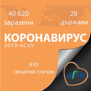 Коронавирус  в цифри и факти към 10 февруари